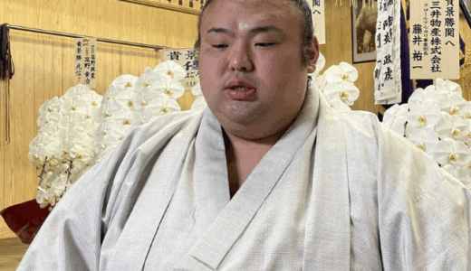 貴景勝の双子の真相と家族構成を紹介