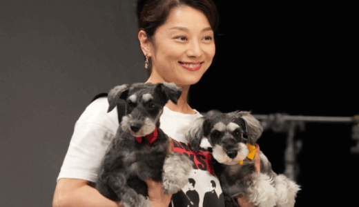 小池栄子の高校時代と大学時代を紹介！偏差値から芸能界デビューまで